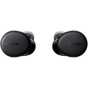 Sony WF-XB700 EXTRA BASS True Wireless Earbuds  with Mic