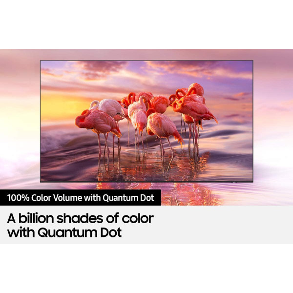 Samsung Class Q80B 65 inch QLED 4K Smart TV